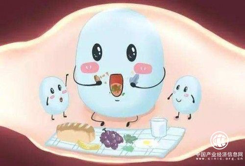 吃了成人益生菌感覺沒用？可能是踩了這3大誤區 