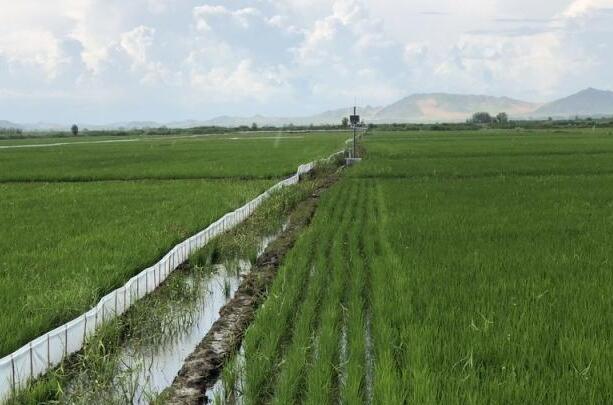 福建超一半農墾農場完成公司化改造