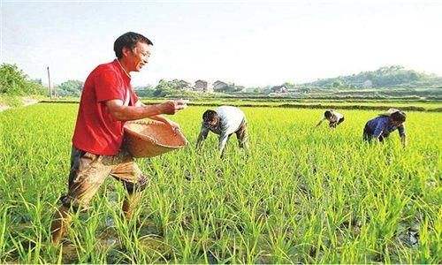 政策解讀：土地承包關系兩不變、一穩定