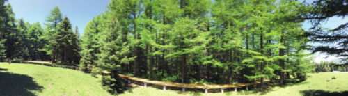 山西傾力打造“一圈兩山十二集群”森林康養產業