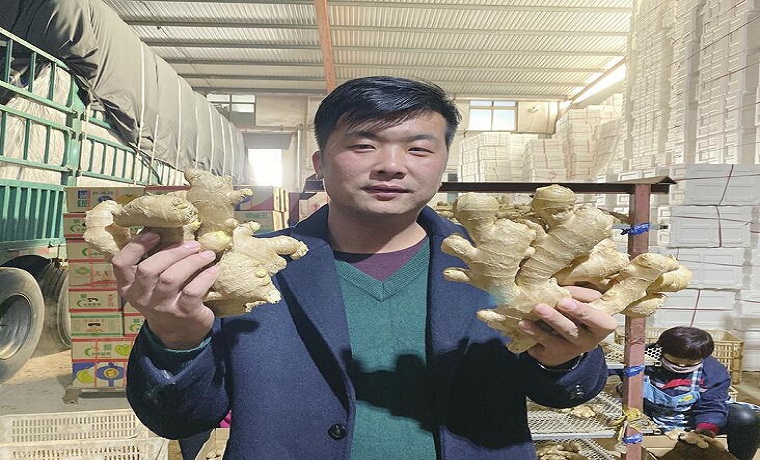 拼多多改變的山東農民：“4個月銷百萬斤，我把山東大姜賣成爆款”