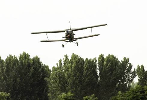 河南省曬出飛播造林成績單：40年，成林389.12萬畝