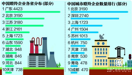 中國瞪羚企業：青島478家全國第九