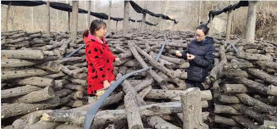 河南省南召縣皇后鄉：產業指導員為貧困戶產業發展“護航”