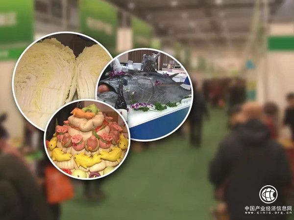 青島市民有口福啦 本地養殖深海魚已經上市！