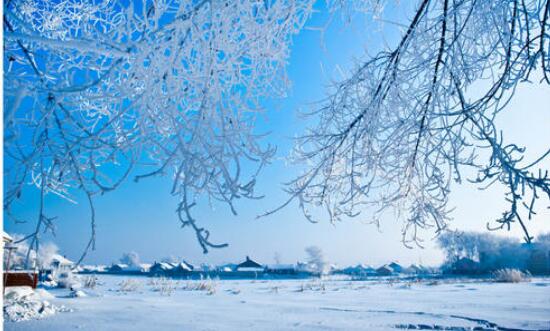推動東北地區冰雪經濟高質量發展實施方案來了