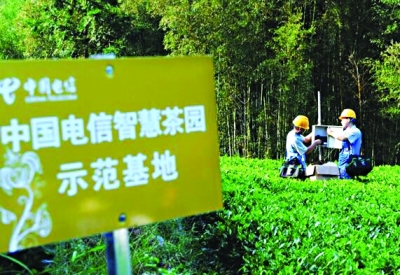 聚焦民生熱點 中國電信服務建設暖人心
