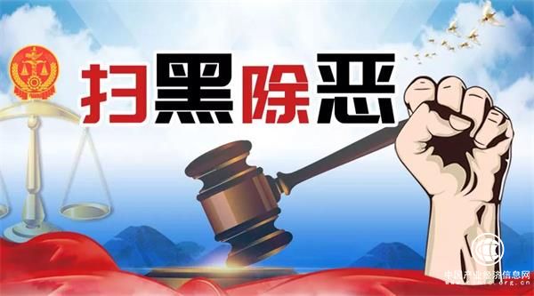 青島法院集中公開宣判24起黑惡勢力犯罪案件