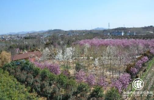 河南省南召縣云陽鎮：社會扶貧助力“拔窮根”