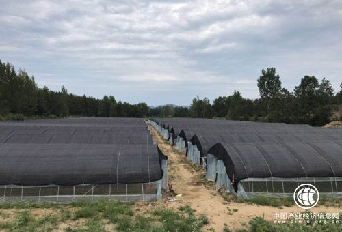 河南省南召縣南河店鎮：“黨建擔當”讓脫貧攻堅更有力量