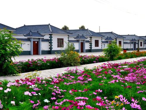 綜述：中國經驗在聯合國人居大會上備受關注