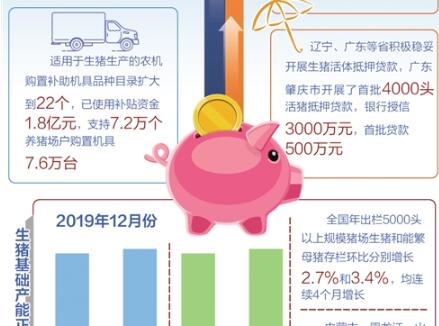 扶持政策加快落地，生豬出欄實現止跌回升——全國豬肉供需矛盾持續緩解