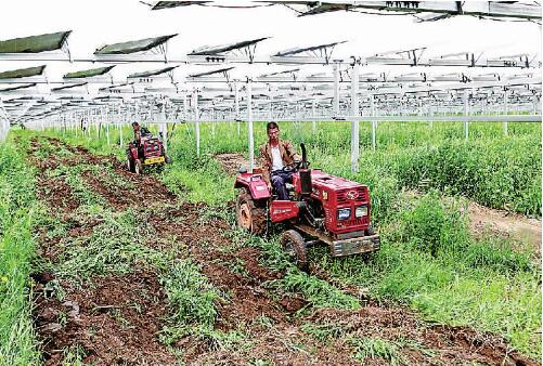 發展有奔頭、農民嘗甜頭 “攥指成拳”推進脫貧地區幫扶產業高質量發展