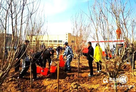 2020年青島新目標 新造林6萬畝 建28個口袋公園