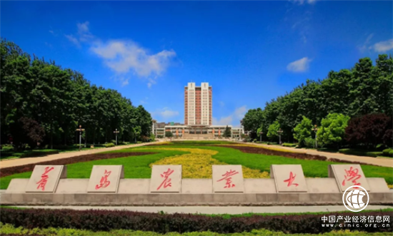 青島農業大學獲評山東省文明校園稱號