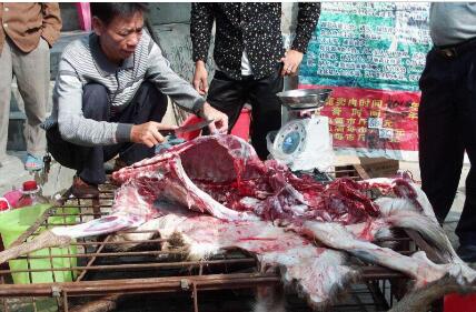 我國全面禁止非法野生動物交易、革除濫食野生動物陋習