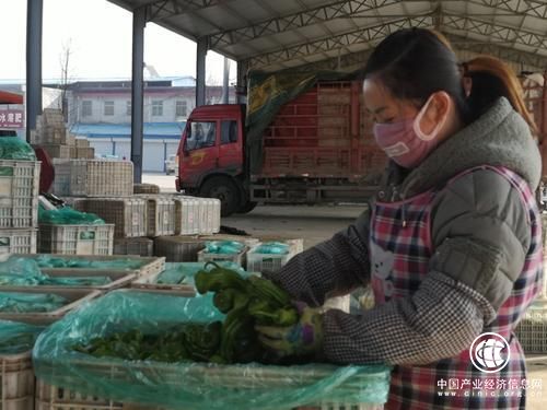 “我們與武漢心連心”140噸蘭陵蔬菜，再援武漢！
