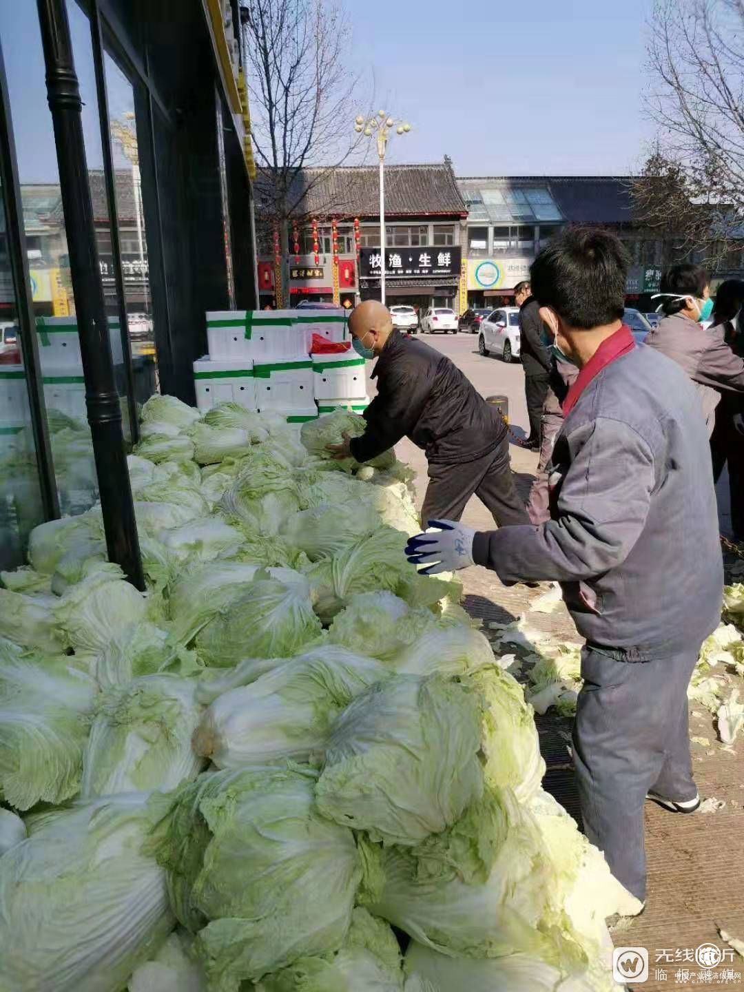 點贊！費縣一物業公司免費發放13000斤蔬菜！