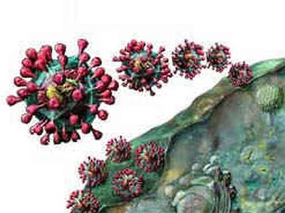 天氣轉暖后病毒會自行消失？專家：科學上還沒有結論