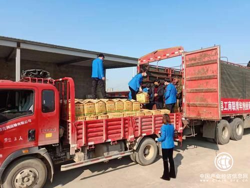 捐贈20噸愛心蔬菜 豐富武漢市民菜籃子