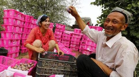 新疆繪就產業旺、農村美、農民富的新畫卷