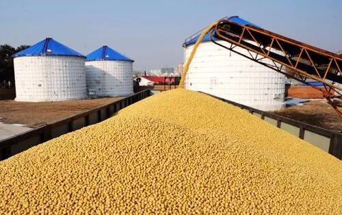 安徽省去年托市收購糧食855萬噸 促進農民增收超17億元