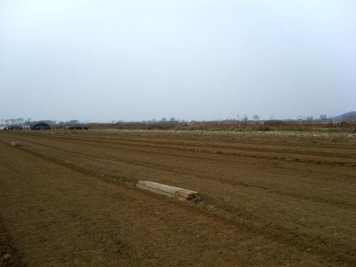 防控生產兩頭抓?廣東積極抓好農業生產