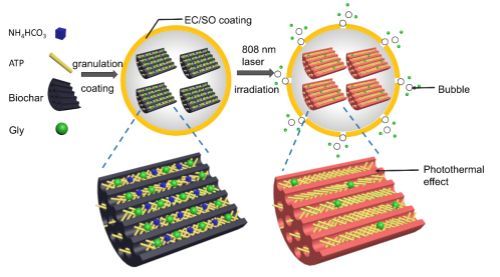 我國學者研制出智能調控的“植物護甲”