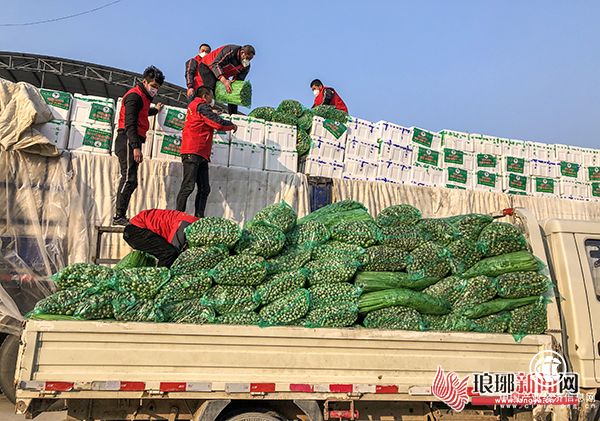 眾志成城 義勇擔當 臨工集團捐贈150噸蔬菜馳援武漢