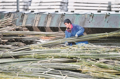 村里路寬了，人思路活泛了——粵桂扶貧協作助力貧困縣發展
