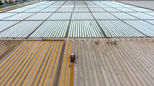 新疆:全區農資儲備充足 基本滿足春耕需要