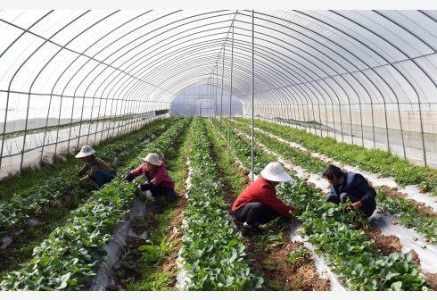 20200218085755957.jpeg 2.jpeg