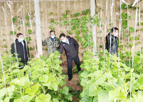 戰疫情 搶農時——蘭陵全力抓好農業穩產保供