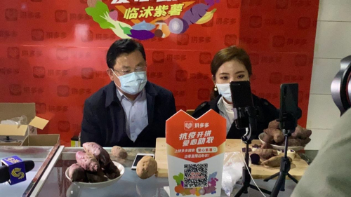 點贊！臨沭縣領導拼多多直播賣紫薯：20萬人關注，售出8萬斤，搬空10個地窖