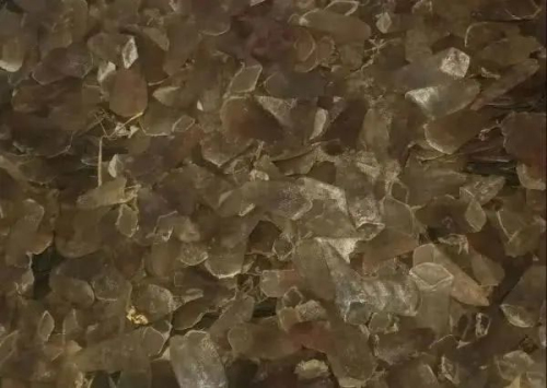 痛心！無語！溫州查獲10.65噸穿山甲鱗片