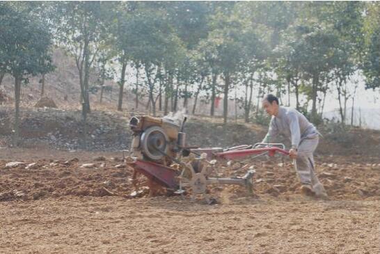 河南省南召縣太山廟鄉防疫和生產齊頭并進