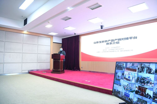 齊”心“魯”力|滯銷怎么辦？山東助推農產品線上銷售解難題