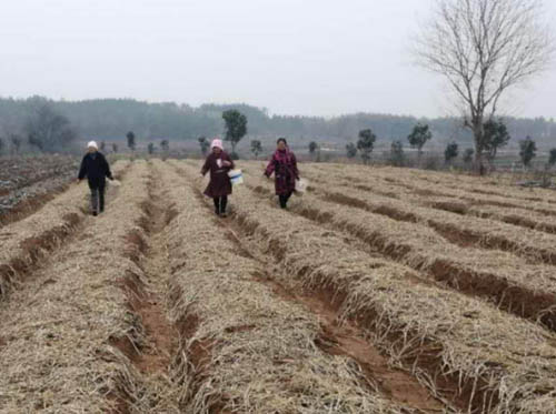 20200228210607220.jpg 4.jpg