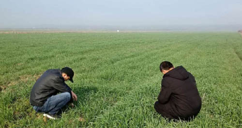 20200228210627939.jpg 5.jpg