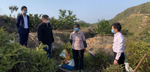 廣東和平縣：抓好疫情防控、推進扶貧產業復工復產