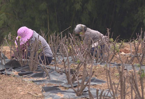 20200229093705664.jpg 2.jpg