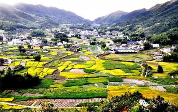 20200301113903386.jpg 3.jpg