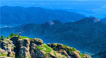 陜西推動文化旅游業有序復工復產 A級景區已恢復開放179家