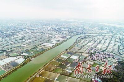 復產戰“疫”：一個珠三角村莊的一天