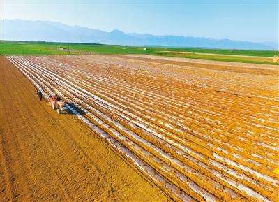 遼寧省近九成農業產業化重點龍頭企業開工