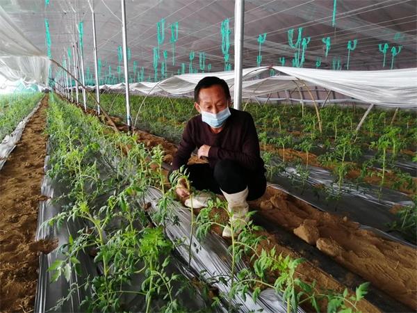 脫貧路上新氣象 平度東閣街道“戰春”進行時！