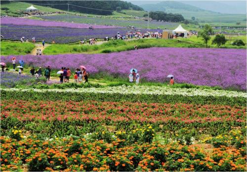 江蘇有序推進休閑農業恢復營運 降低疫情影響