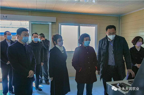 山東·半島田園綜合體：著力打造鄉村振興齊魯樣板，創建鄉村振興“膠州模式” ——青島市農委辦領導調研山東·半島田園綜合體項目