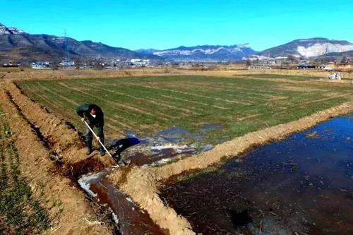 水安全保障看山西：各大灌區陸續展開春灌