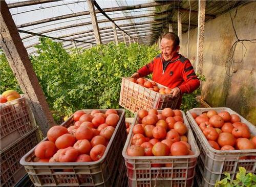 我國將實施“縣域商業三年行動計劃”